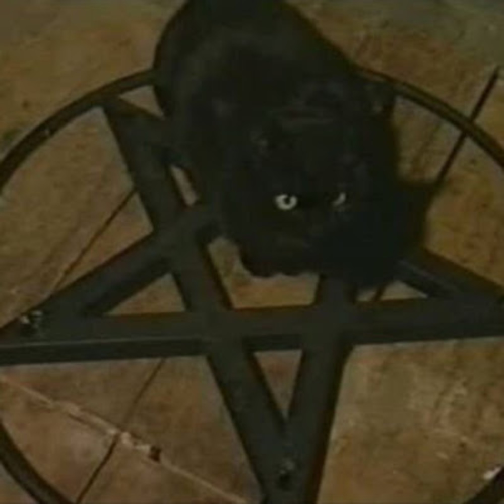 Meet your Posher, Link